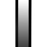 Зеркало настенное BeautyStyle 9 черный 138 см х 35 см