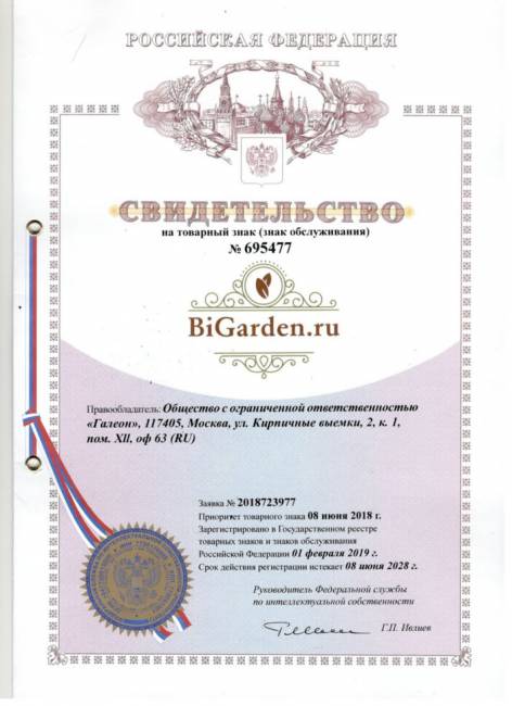 Подвесное кресло в виде капли "Tropica Black BS" Красная подушка