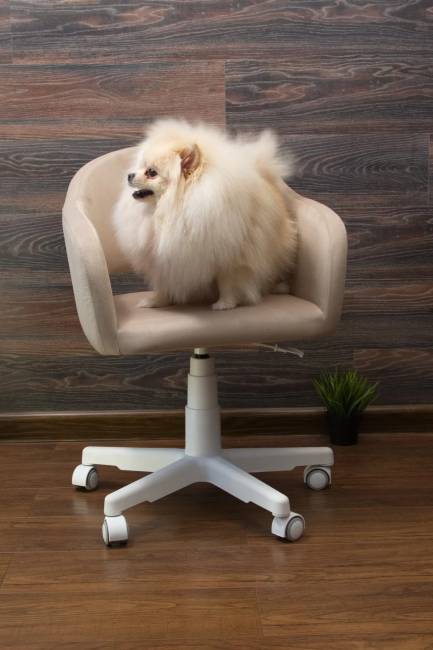 Кресло Бабби белый / бежевый